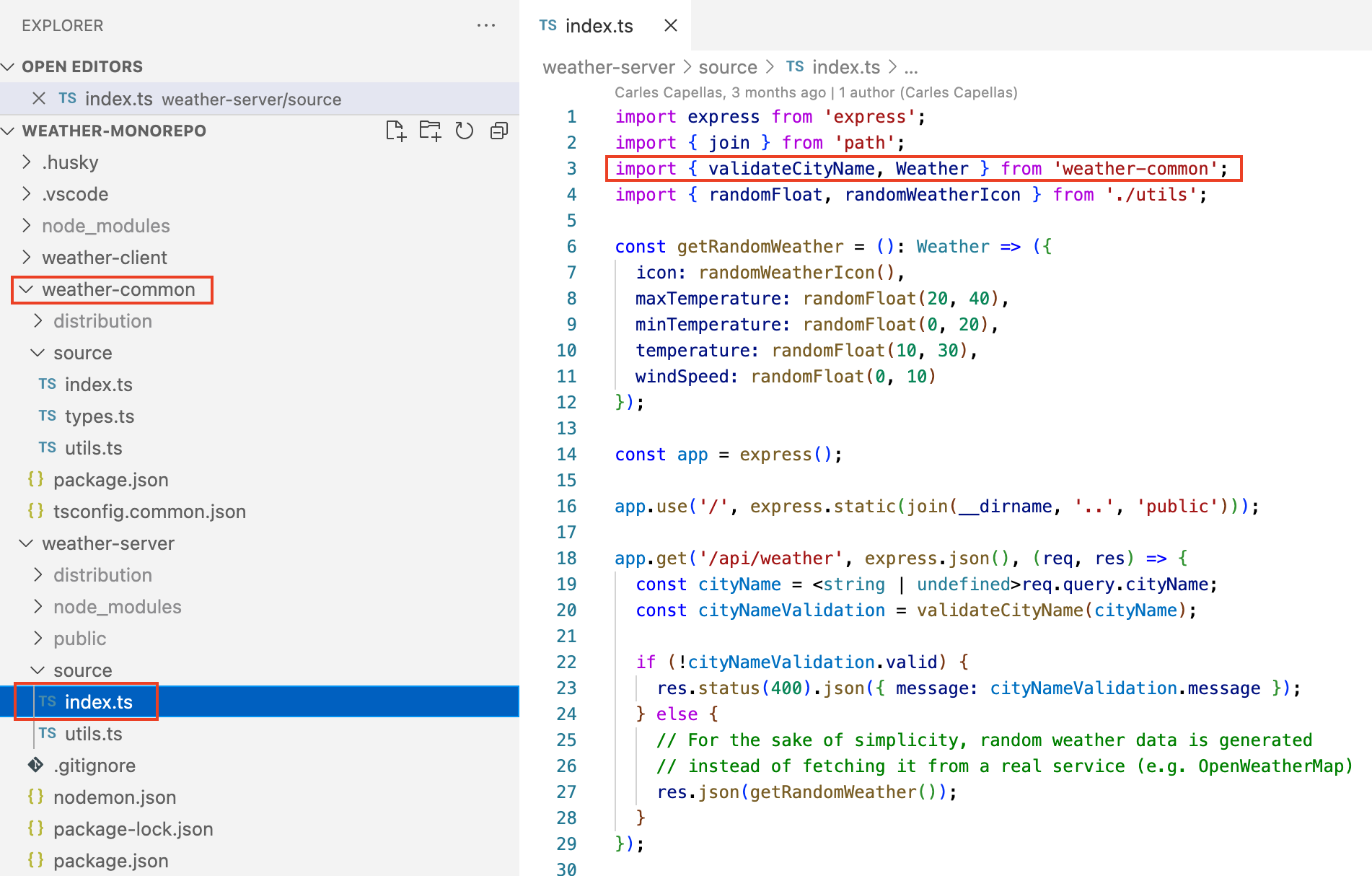 npm local dependency import