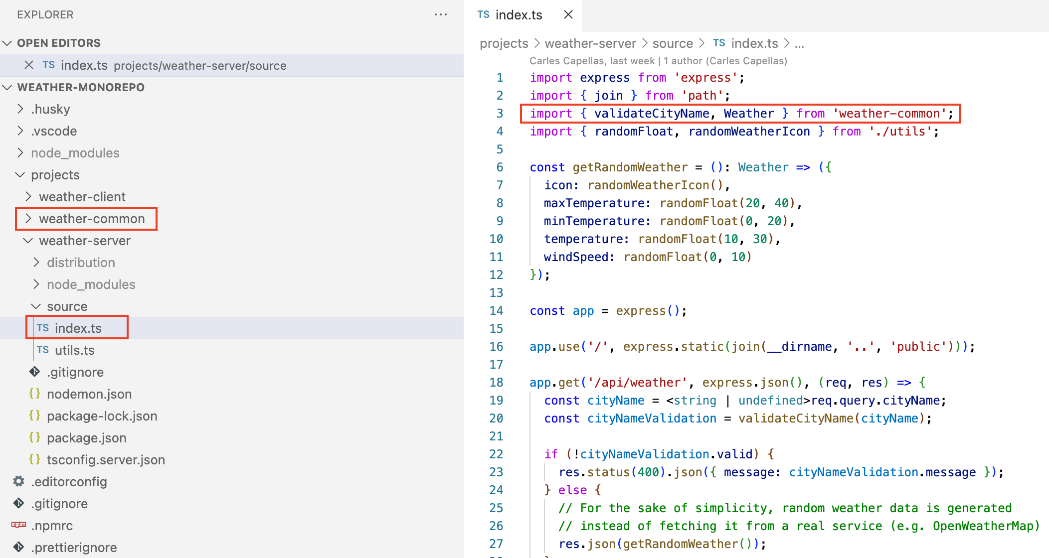 npm local dependency import, through workspaces